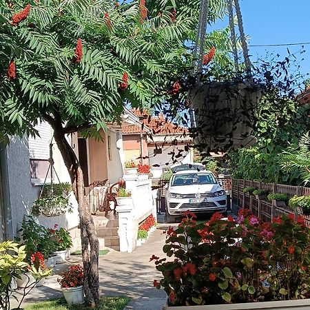 Apartman "Dom Stankovica" Πίροτ Εξωτερικό φωτογραφία