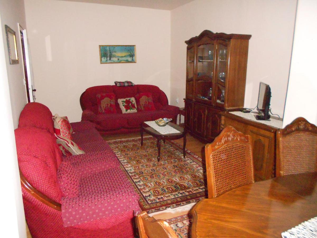 Apartman "Dom Stankovica" Πίροτ Εξωτερικό φωτογραφία