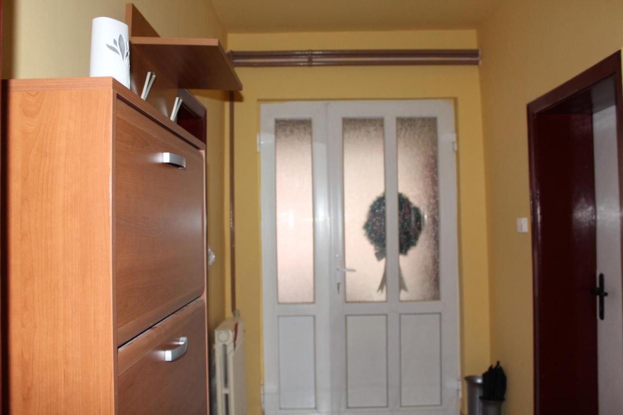 Apartman "Dom Stankovica" Πίροτ Εξωτερικό φωτογραφία