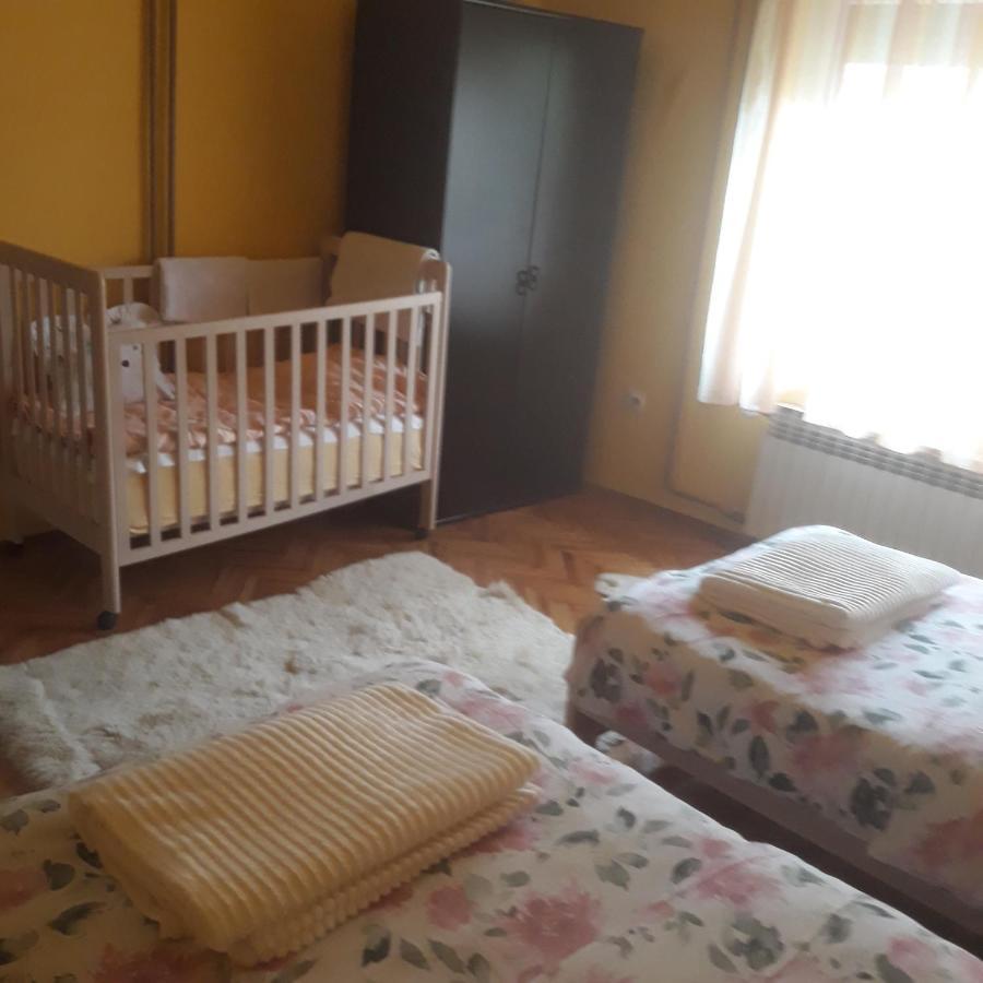 Apartman "Dom Stankovica" Πίροτ Εξωτερικό φωτογραφία