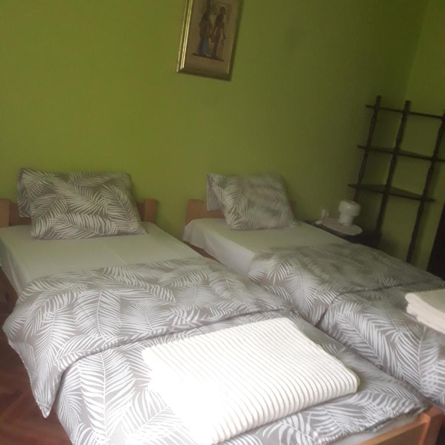 Apartman "Dom Stankovica" Πίροτ Εξωτερικό φωτογραφία