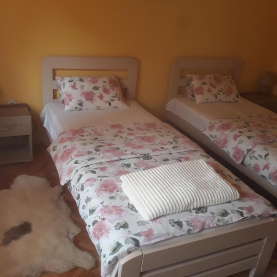Apartman "Dom Stankovica" Πίροτ Εξωτερικό φωτογραφία