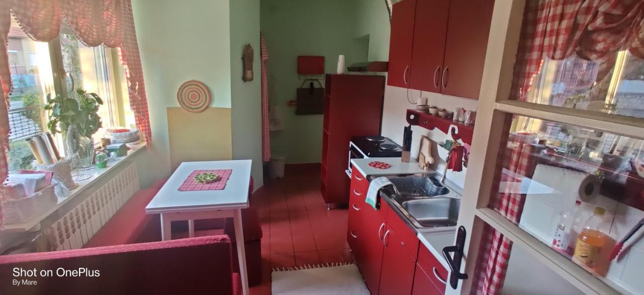 Apartman "Dom Stankovica" Πίροτ Εξωτερικό φωτογραφία