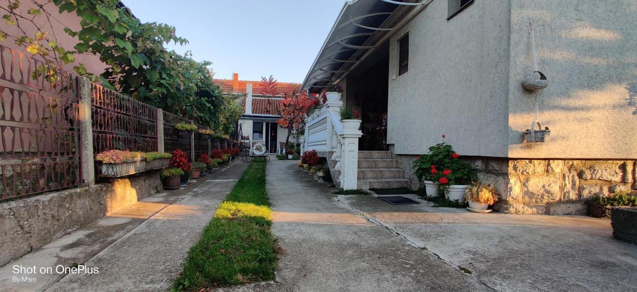 Apartman "Dom Stankovica" Πίροτ Εξωτερικό φωτογραφία