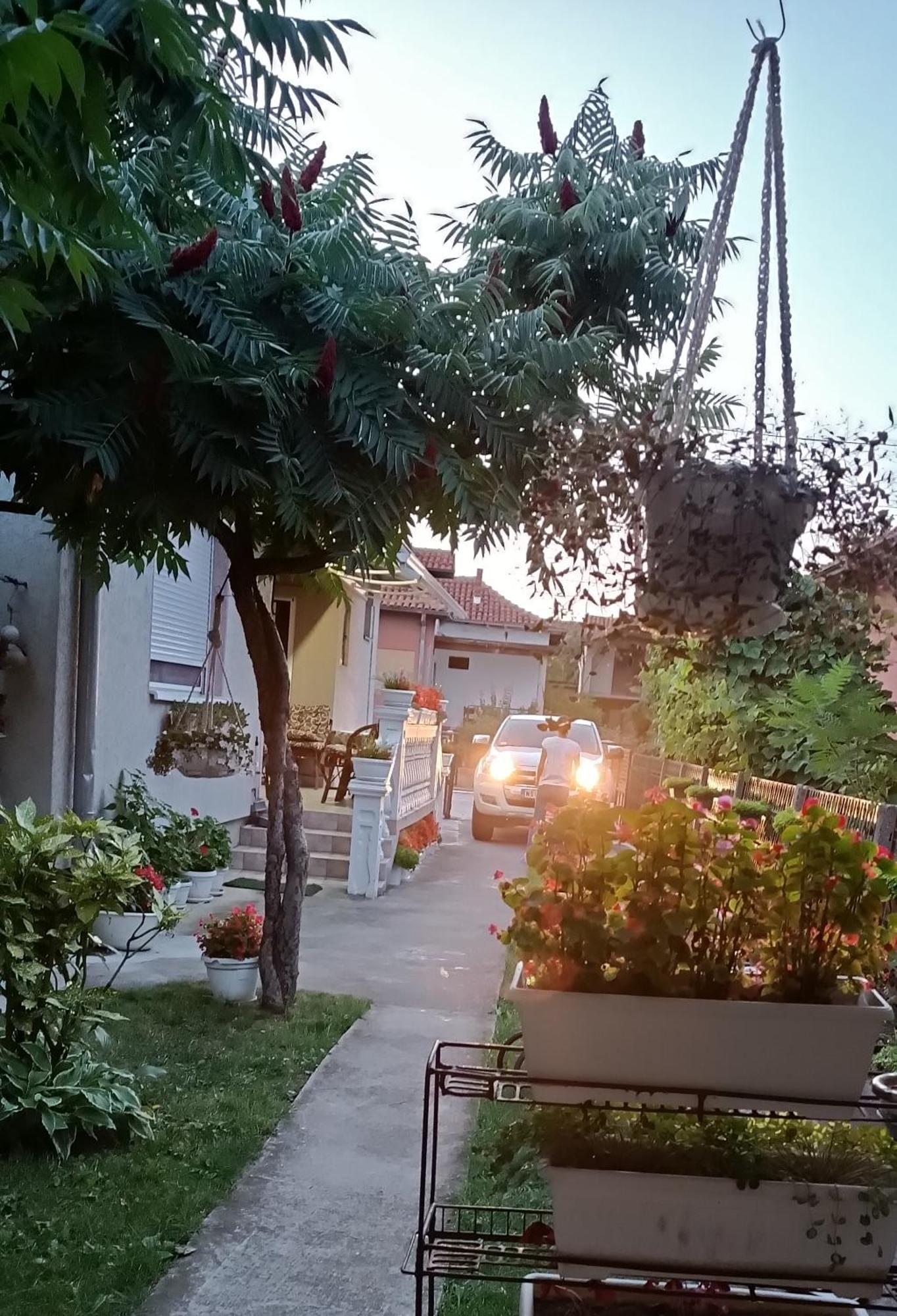 Apartman "Dom Stankovica" Πίροτ Εξωτερικό φωτογραφία